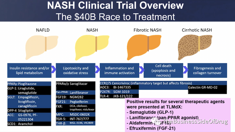 NASH专栏 | 万字闲谈NASH新药研发