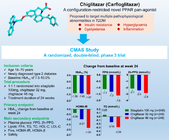 中国原创药物公布中国证据：全球首个新型胰岛素增敏剂西格列他钠III期临床论文发表