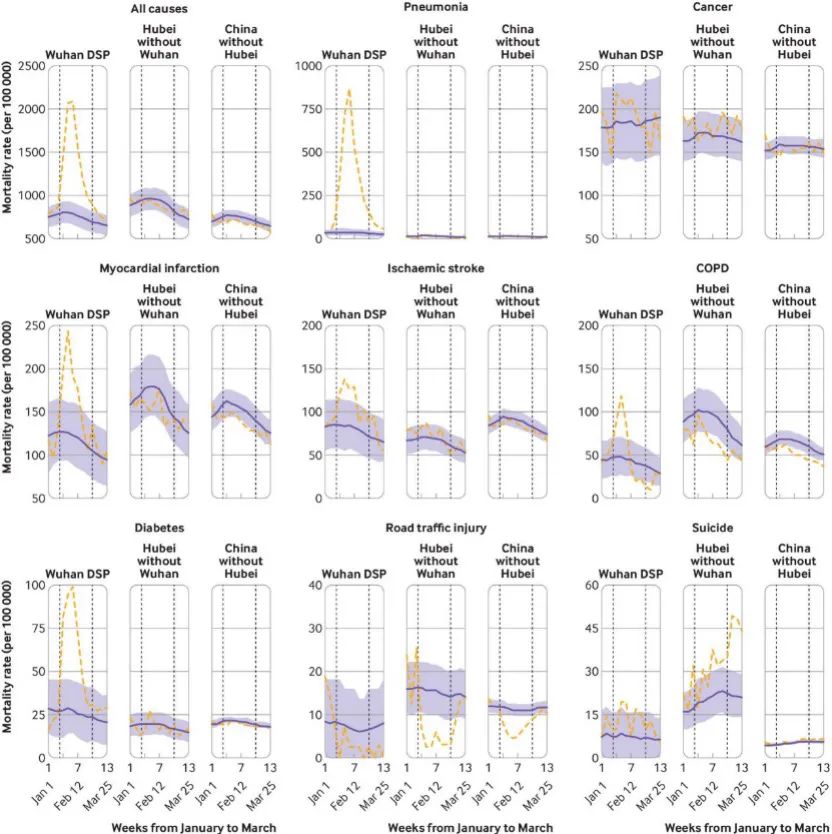 BMJ：2020年新冠疫情如何改变我国的整体死亡率？