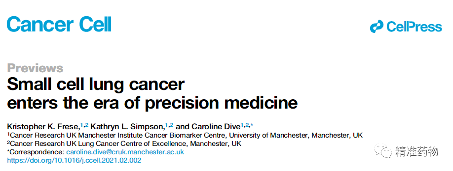 重磅！小细胞肺癌(SCLC)进入精准治疗时代