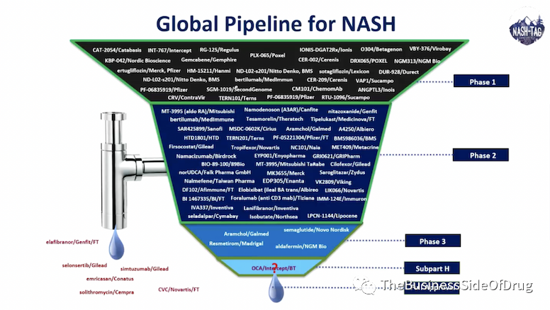 NASH专栏 | 万字闲谈NASH新药研发