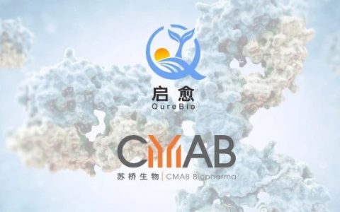 祝贺苏桥生物合作伙伴启愈生物全球首个获批美国IND的Claudin18.2/PD-L1双特异性抗体药物！