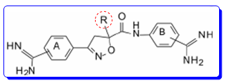 抗凝剂FXa抑制剂阿哌沙班的诞生之路