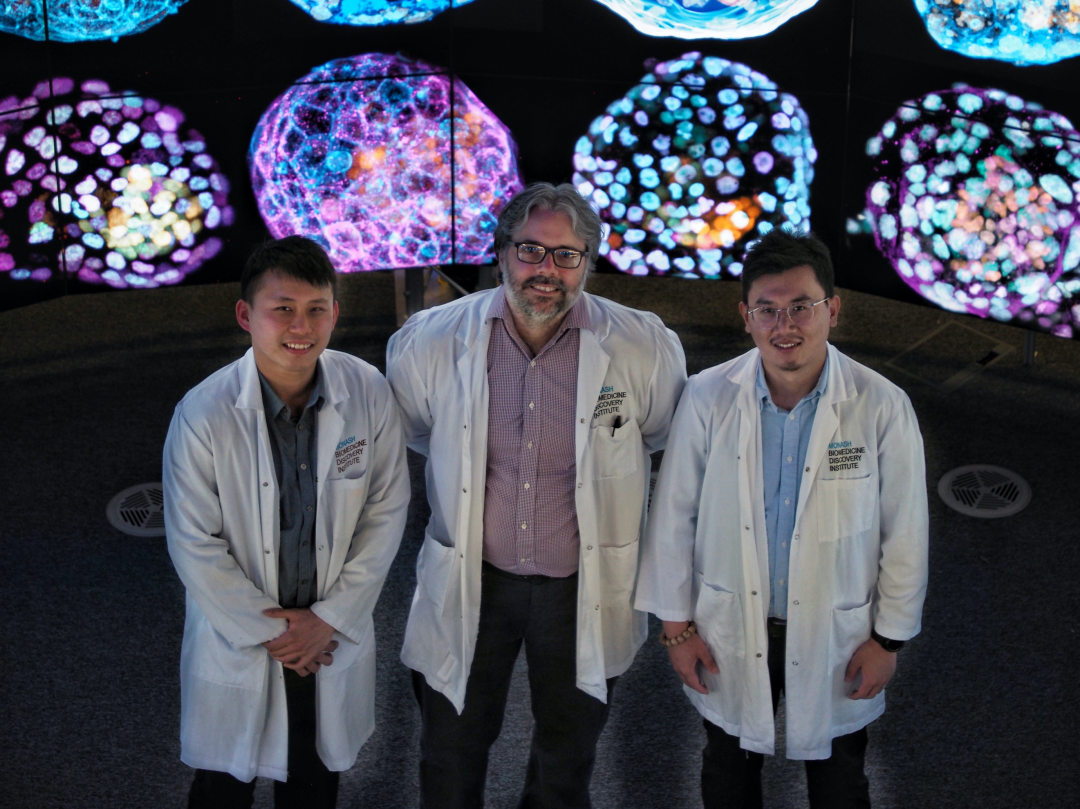 Nature封面文章：iPSC领域里程碑进展——刘晓东等用体细胞重编程技术构建首个完整的人类胚胎模型！