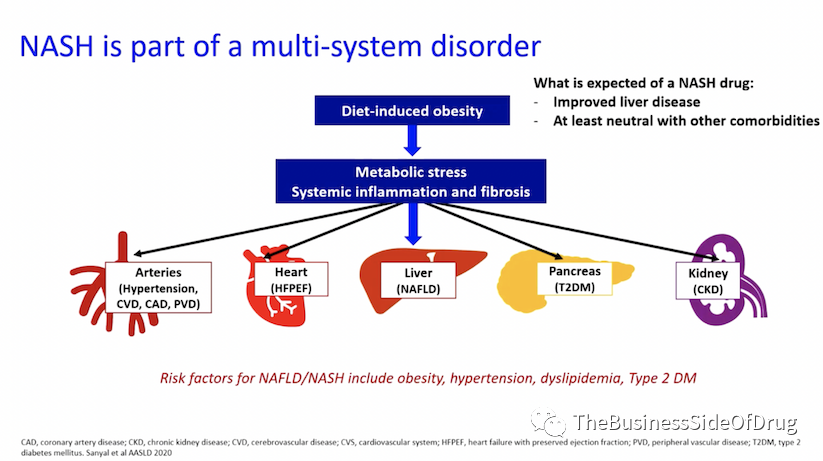 NASH专栏 | 万字闲谈NASH新药研发