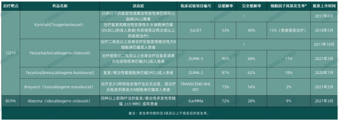 时隔仅1个月！全球首款BCMA CAR-T疗法获批上市！全球迎来第5款CAR-T疗法