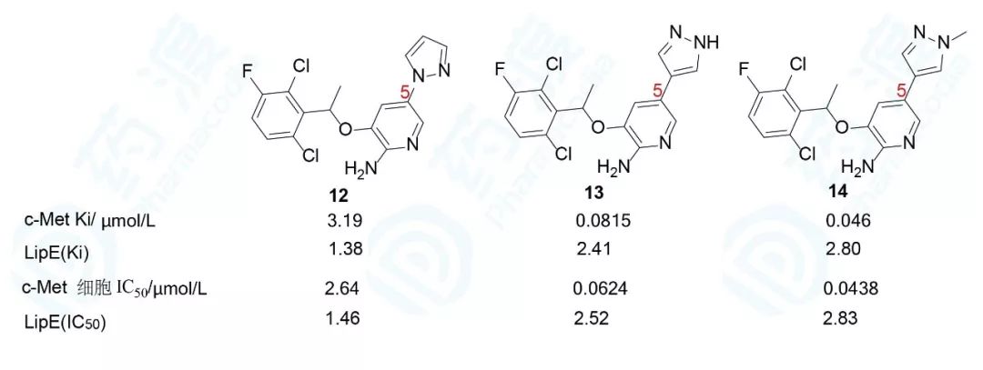 华人之光：克唑替尼的研发历程