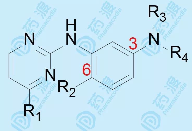 格列卫：十余年的构效关系研究