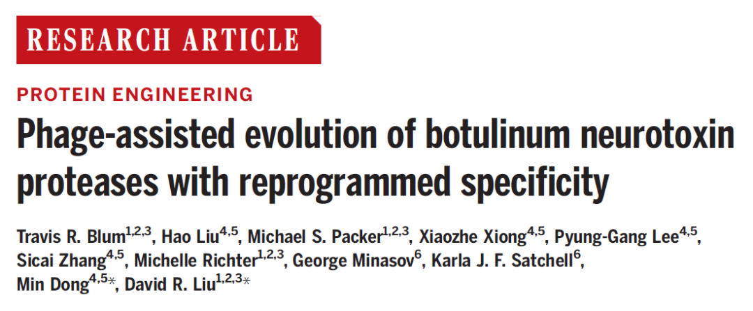 Science：编辑蛋白质组！刘如谦利用噬菌体辅助进化，创造出新活性蛋白酶，可治疗多种疾病