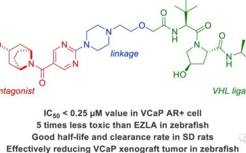 黑马 | 又一家中国PROTAC研发公司浮出水面