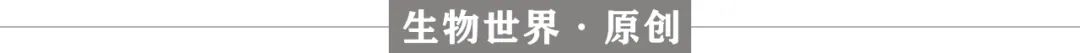 哈佛大学发现：63岁患癌，19岁时癌细胞已开始在身体中出现了