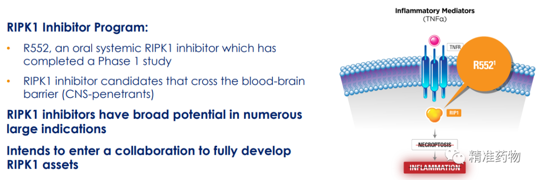 RIPK1激酶抑制剂潜力无限：袁钧瑛开发首个，礼来9.6亿美元刚买了1个