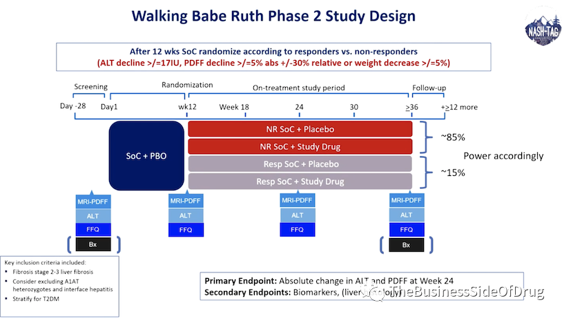 NASH专栏 | 万字闲谈NASH新药研发