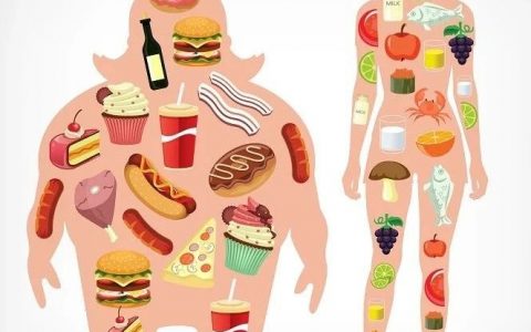 高脂肪饮食下：正常肝细胞变成了肿瘤的“模样”...