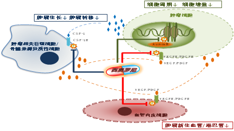 积“微”成著创新药，“芯”火相传照未来！——祝风华正茂的微芯生物继续乘风破浪，再创辉煌！