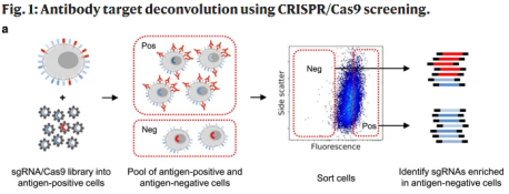 CRISPR-Cas9筛选靶点成功率竟然高达97%！