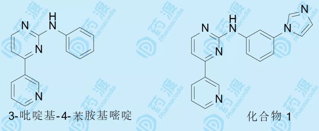 格列卫：十余年的构效关系研究