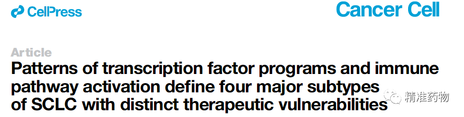 重磅！小细胞肺癌(SCLC)进入精准治疗时代