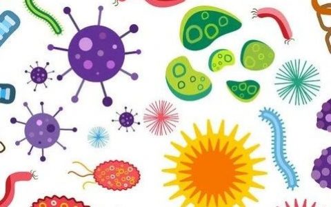 Nature：人类肿瘤组织中充满了细菌？不怕，正好用作癌症治疗靶点