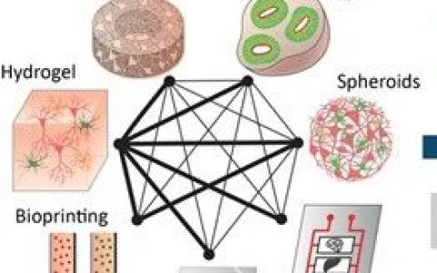 3D组织模型：让器官芯片助力新药研发