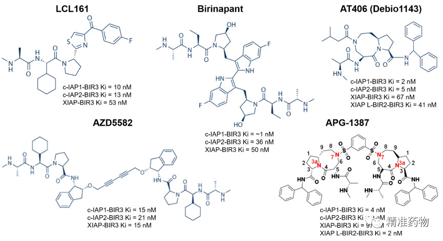 膜拜！德国默克9亿欧元收购王少萌团队研发的IAP抑制剂xevinapant（Debio1143，AT-406）