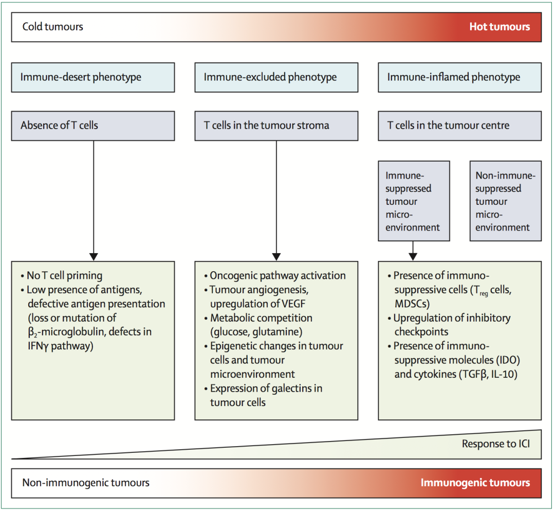 免疫治疗无反应？五种策略助力“冷肿瘤”变“热肿瘤”
