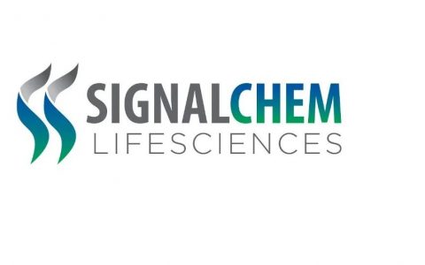 重磅！新格诺康 (SignalChem)宣布与默沙东(MSD)联合开展临床二期试验