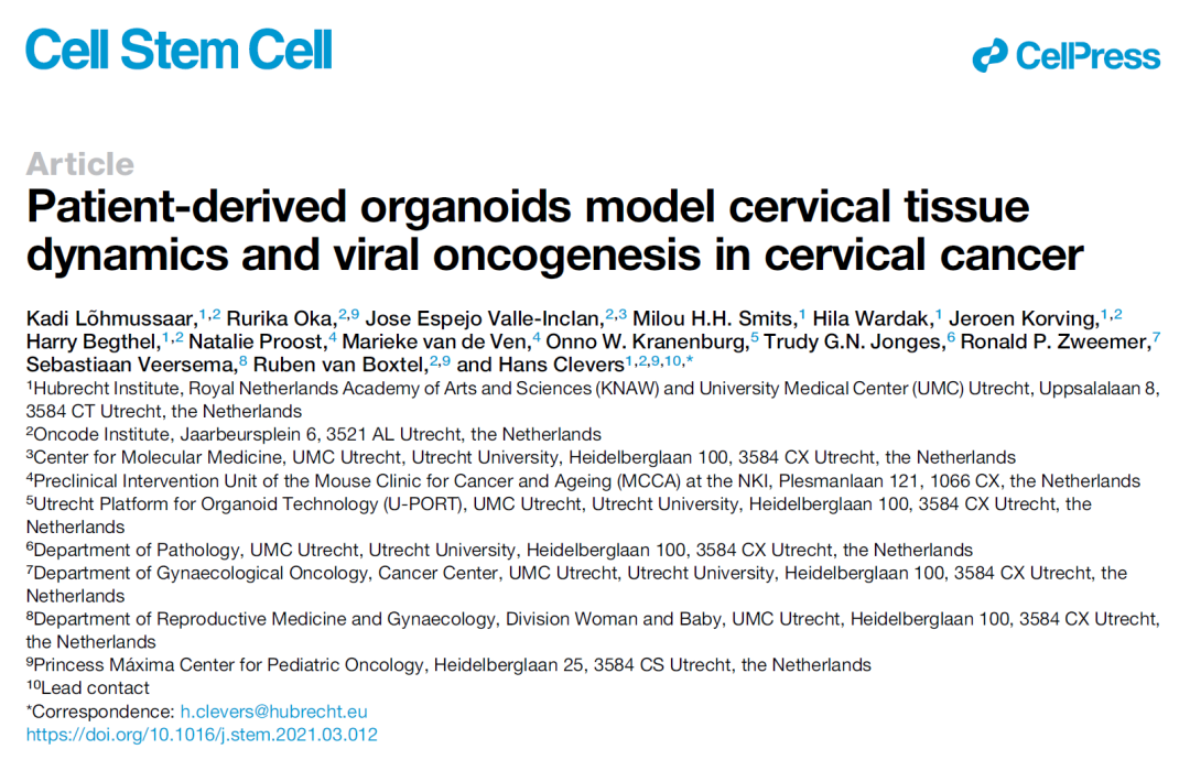Cell子刊：首个患者来源的宫颈癌类器官模型，为宫颈癌研究提供新手段