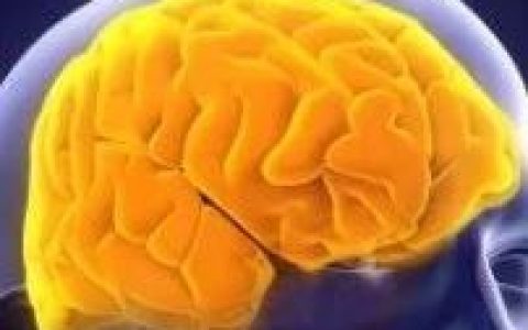 跨界联手！干细胞携手免疫细胞，更好治疗脑损伤！《Stem Cells》最新研究