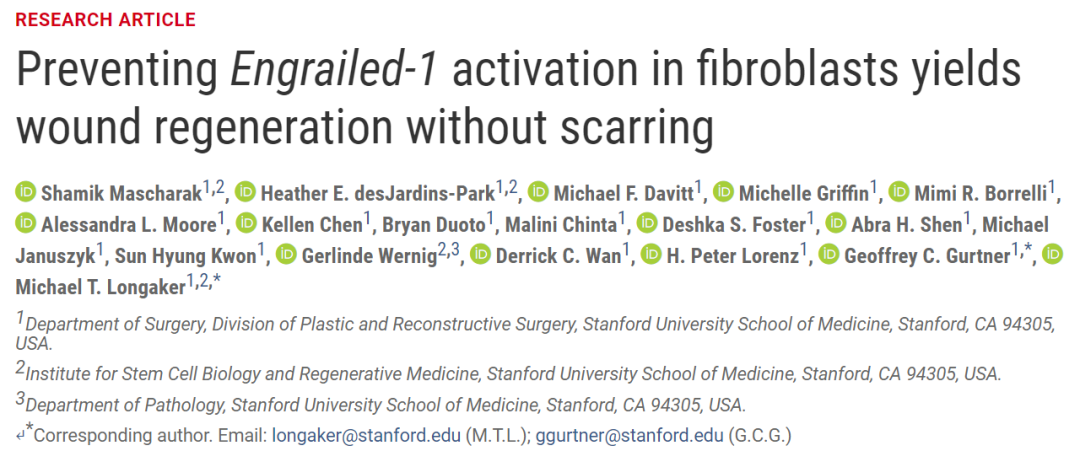 Science重磅：斯坦福大学科学家发现了让伤口不留疤痕愈合的方法