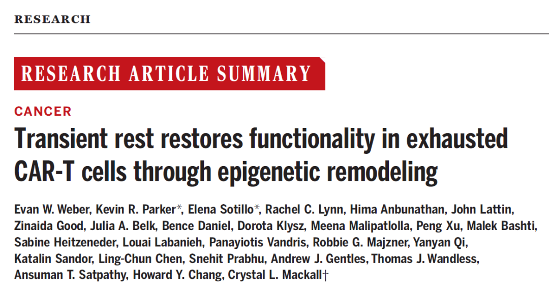 Science：T细胞也是“打工人”，让它们休息一下，能够重振活力，实现更好的抗癌效果