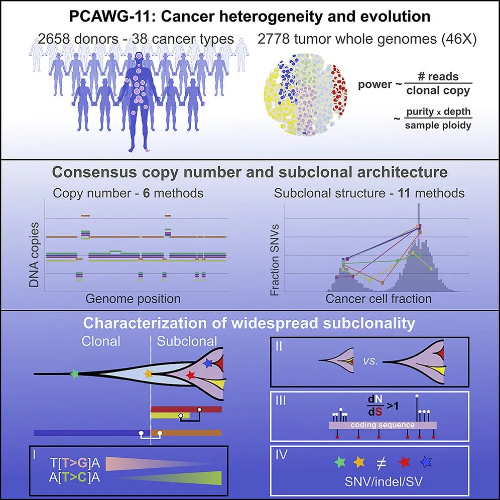 Cell重磅：38种癌症类型、2658个癌症样本，全面解析肿瘤内异质性，为攻克癌症铺平道路
