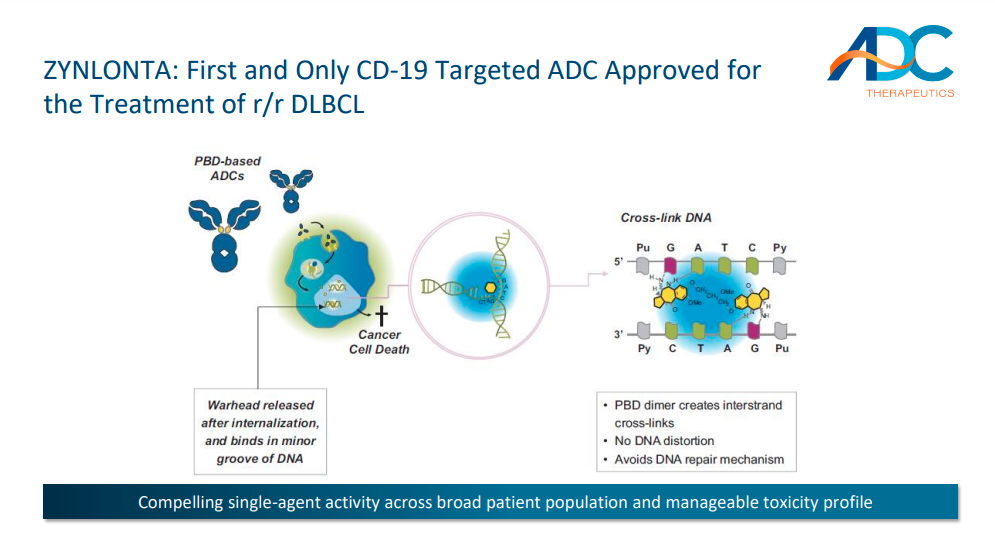首款靶向CD19的ADC新药Zynlonta获批！助力大B细胞淋巴瘤治疗
