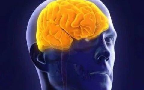 200+企业！110+靶点！全球齐发力！抗帕金森领域决战将至！