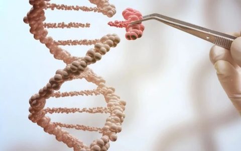 Science：将有限的DNA修复用在“刀刃”上，神经元会优先预防衰老和疾病！