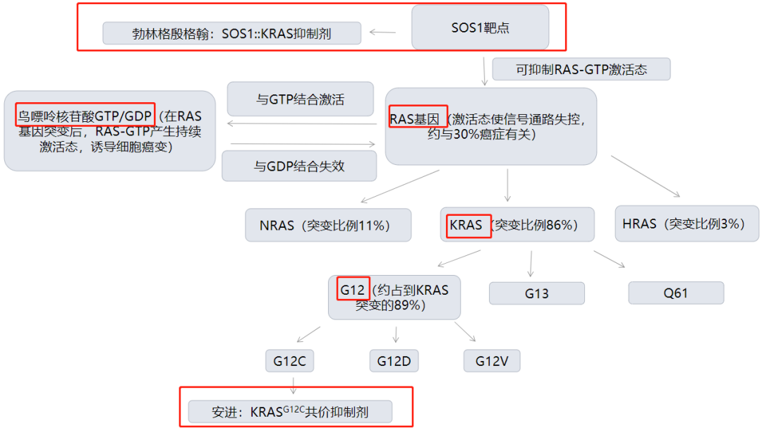 未曾设想的道路——原癌基因RAS如何成为“屠龙者”？