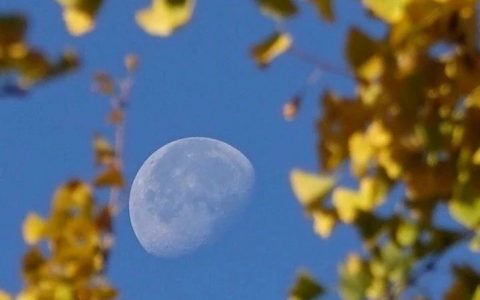 创新药估值太魔幻，哪些因素能助您“拨云见雾”？