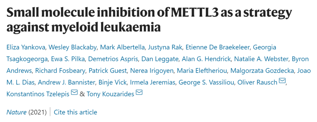 Nature：癌症治疗新时代！m6A甲基化酶METTL3抑制剂，有效抑制白血病进展