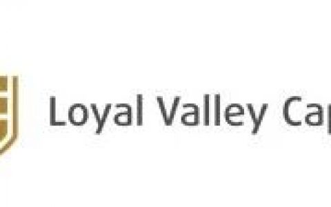 中国好投资人 ｜正心谷资本（Loyal Valley Capital）