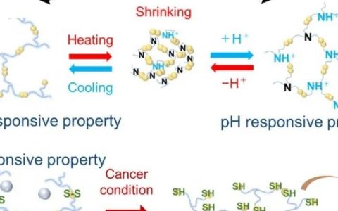 日本科学家开发新型水凝胶 可以根据温度和pH值释放抗癌药