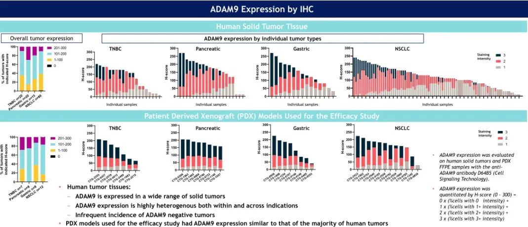 首款靶向ADAM9的ADC—IMGC936