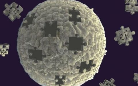 Cell重磅：十年磨一剑，科学家成功合成出可正常生长分裂的 “人造细胞”