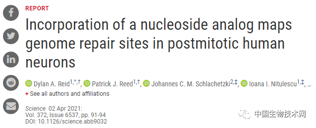 Science：将有限的DNA修复用在“刀刃”上，神经元会优先预防衰老和疾病！