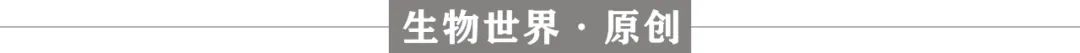 20%人口贡献近一半胃癌：沈洪兵院士等揭示中国人胃癌高发的两大因素，及预防方式