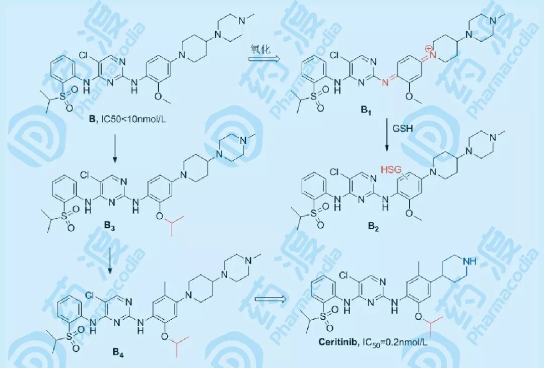 从Crizotinib、Ceritinib、Alectinib和Brigatinib探寻非小细胞肺癌药物的发现之旅