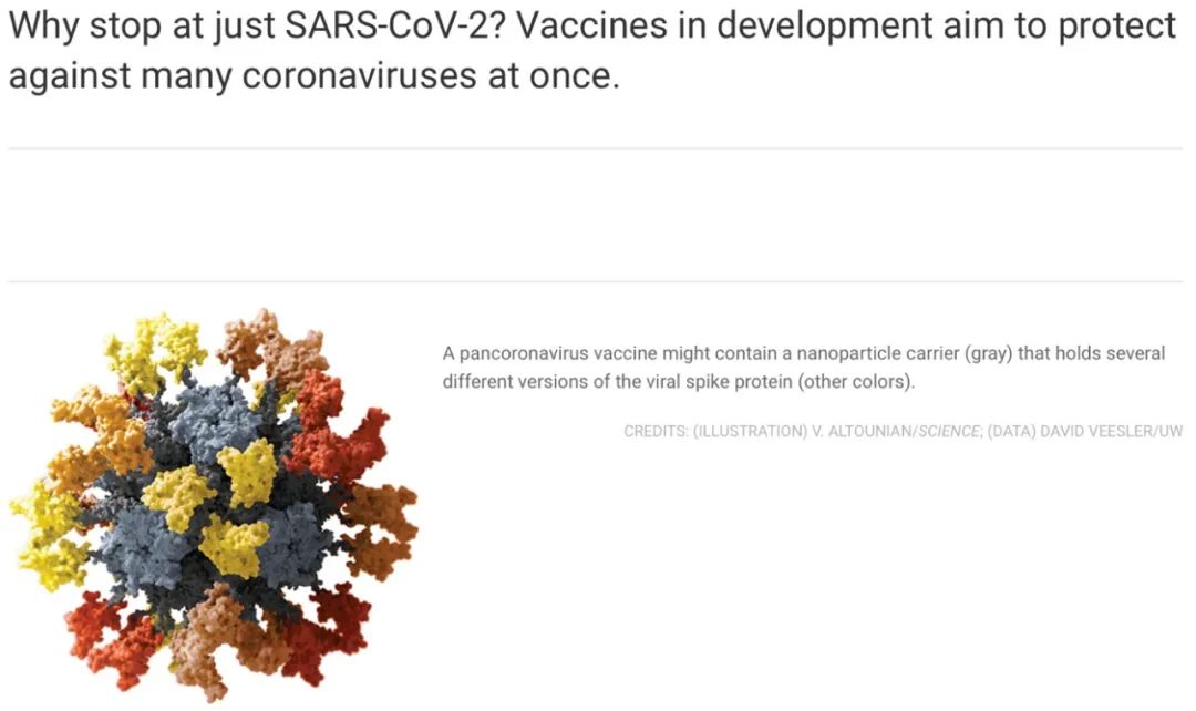 Science：疫苗研发不应仅停留在SARS-CoV-2上，通用冠状病毒疫苗箭在弦上