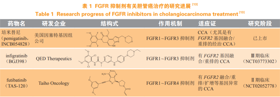 彭鹏：胆管癌靶向治疗研究进展