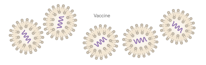 收藏 | 拯救了美国的mRNA疫苗，制造过程首次揭秘