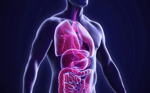 科普｜Cell Reports Medicine：肥胖会使脂肪组织发生这些变化