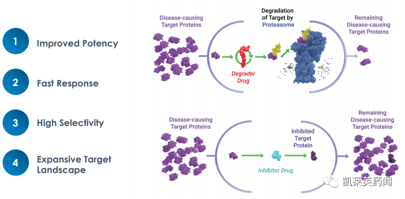 未来可期的PROTAC：全球最新研发进展
